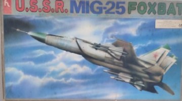 MIG 25